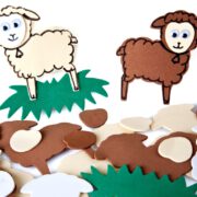 כבשה סול – 2