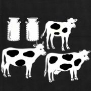 פרות בחווה