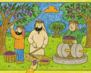 כך מכינים שמן זית